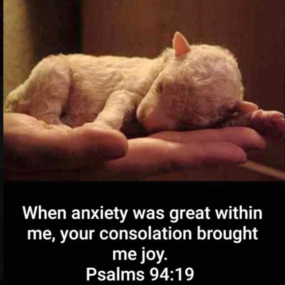 💕 PLEASE SHARE 💕 - Picture 4 of 16